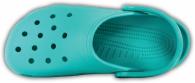Classic Tropical Teal