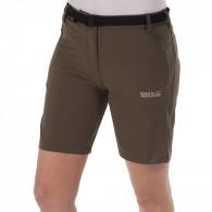 REGATTA Wm Xert Str Short brown